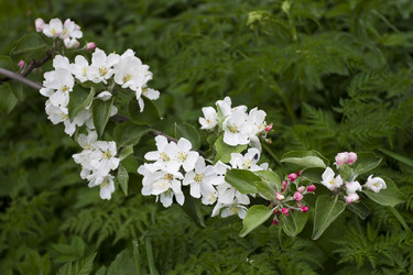 Similar image 2933648