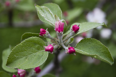 Similar image 2933649