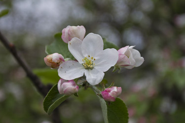 Similar image 2933650