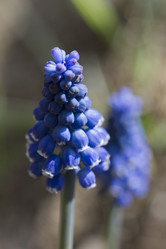 Similar image 2933651