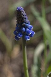 Similar image 2933652