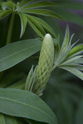 Similar image 2933666