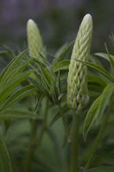 Similar image 2933667