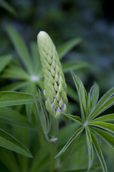 Similar image 2933679