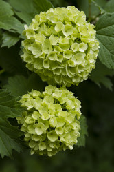 Similar image 2933695