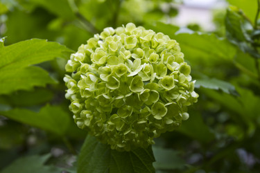 Similar image 2933696