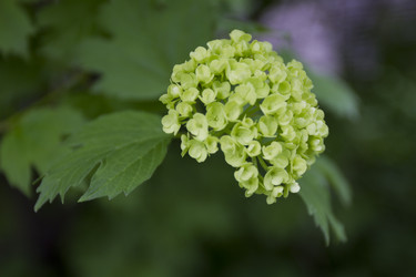 Similar image 2933698