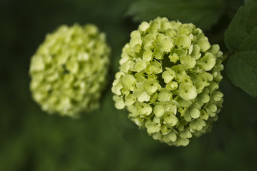 Similar image 2933699