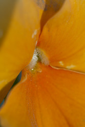 Similar image 2933706