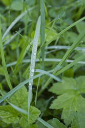 Similar image 2933707