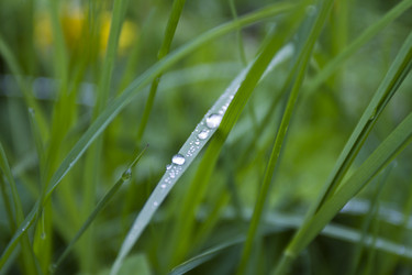 Similar image 2933709