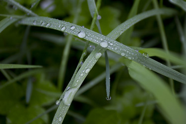 Similar image 2933711