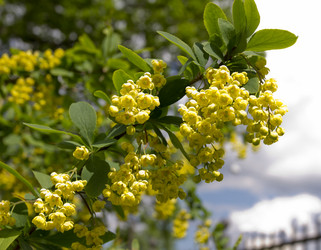 Similar image 2933728