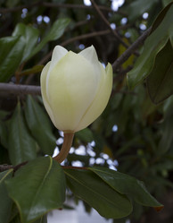 Similar image 2933737