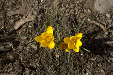 Similar image 2933742