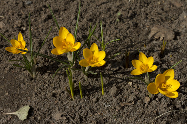 Similar image 2933753