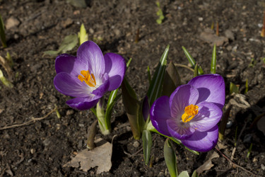 Similar image 2933754