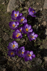 Similar image 2933755