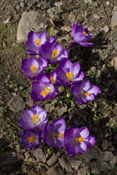 Similar image 2933756