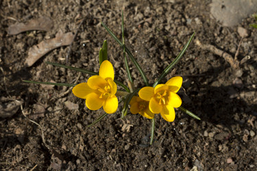 Similar image 2933757