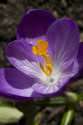 Similar image 2933758