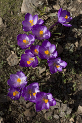 Similar image 2933763