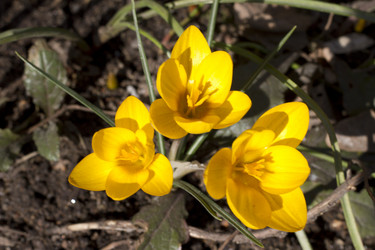 Similar image 2933772