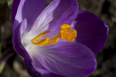 Similar image 2933773