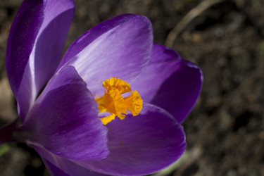 Similar image 2933774