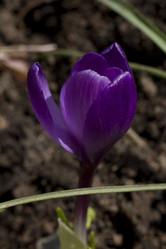 Similar image 2933775