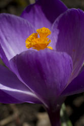 Similar image 2933776