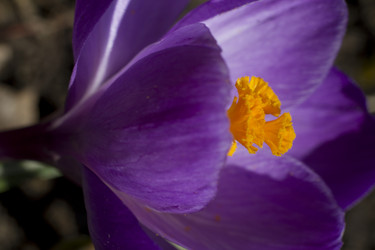 Similar image 2933777