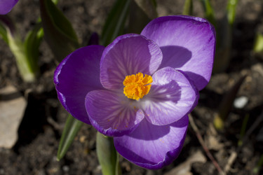 Similar image 2933779