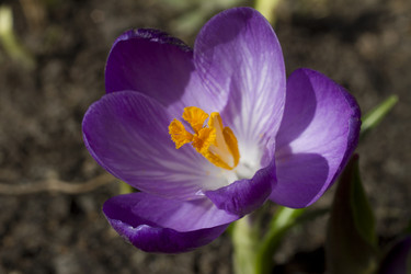 Similar image 2933780