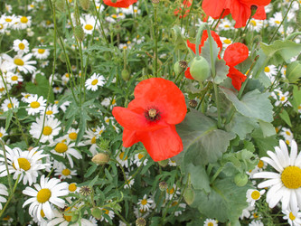 Similar image 2933819