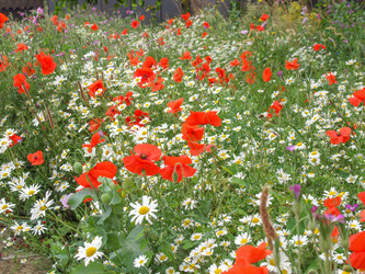 Similar image 2933823