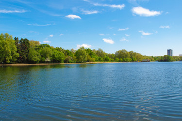 Similar image 2933855