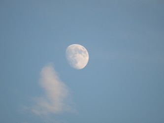 Similar image 2933872