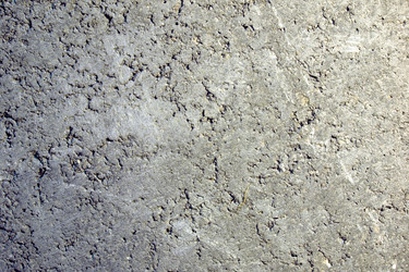 Similar image 2933913