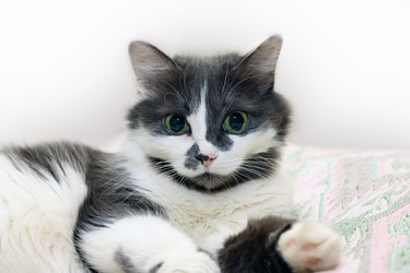 Similar image 2933967