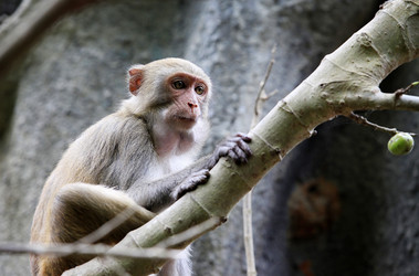 Similar image 2933970