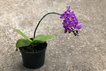 Similar image 2933992