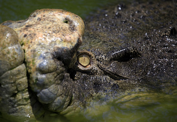 Similar image 2934019