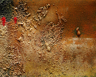 Similar image 2934056