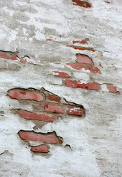 Similar image 2934067