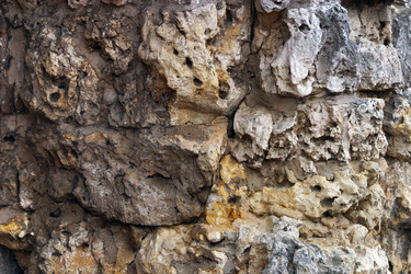 Similar image 2934072