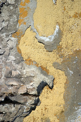 Similar image 2934082