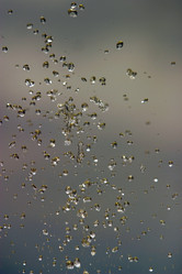 Similar image 2934105