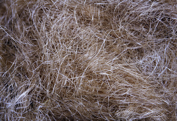 Similar image 2934125