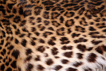 Similar image 2934131